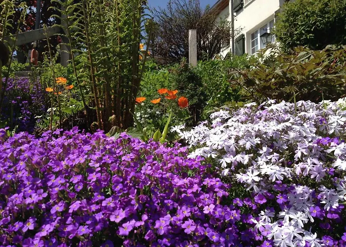 Casa Fluretta Flumserberg